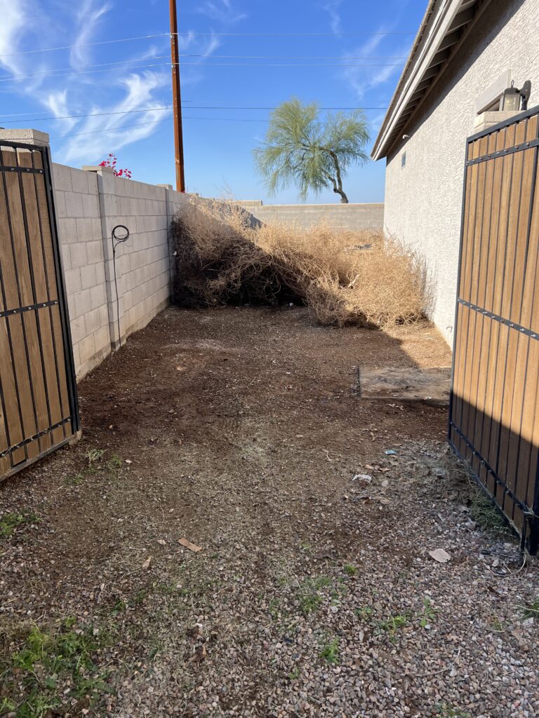 EZ Dumping AZ | Arizona Junk Removal Service img 4779